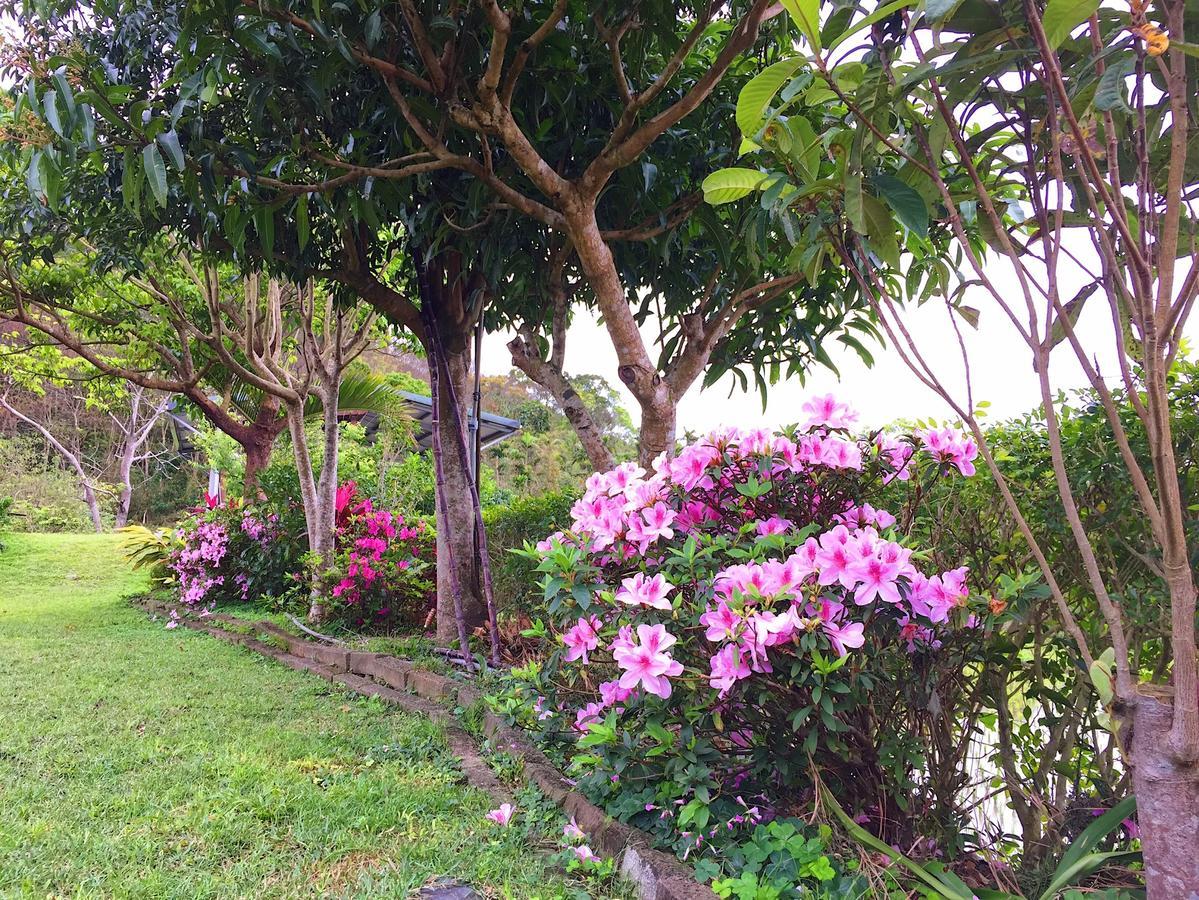 Jiu An Qing Jing Homestay Fuli Exteriér fotografie